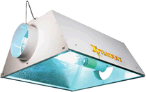 Xtrasun 6 White Reflector 
